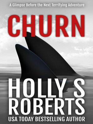 cover image of Churn